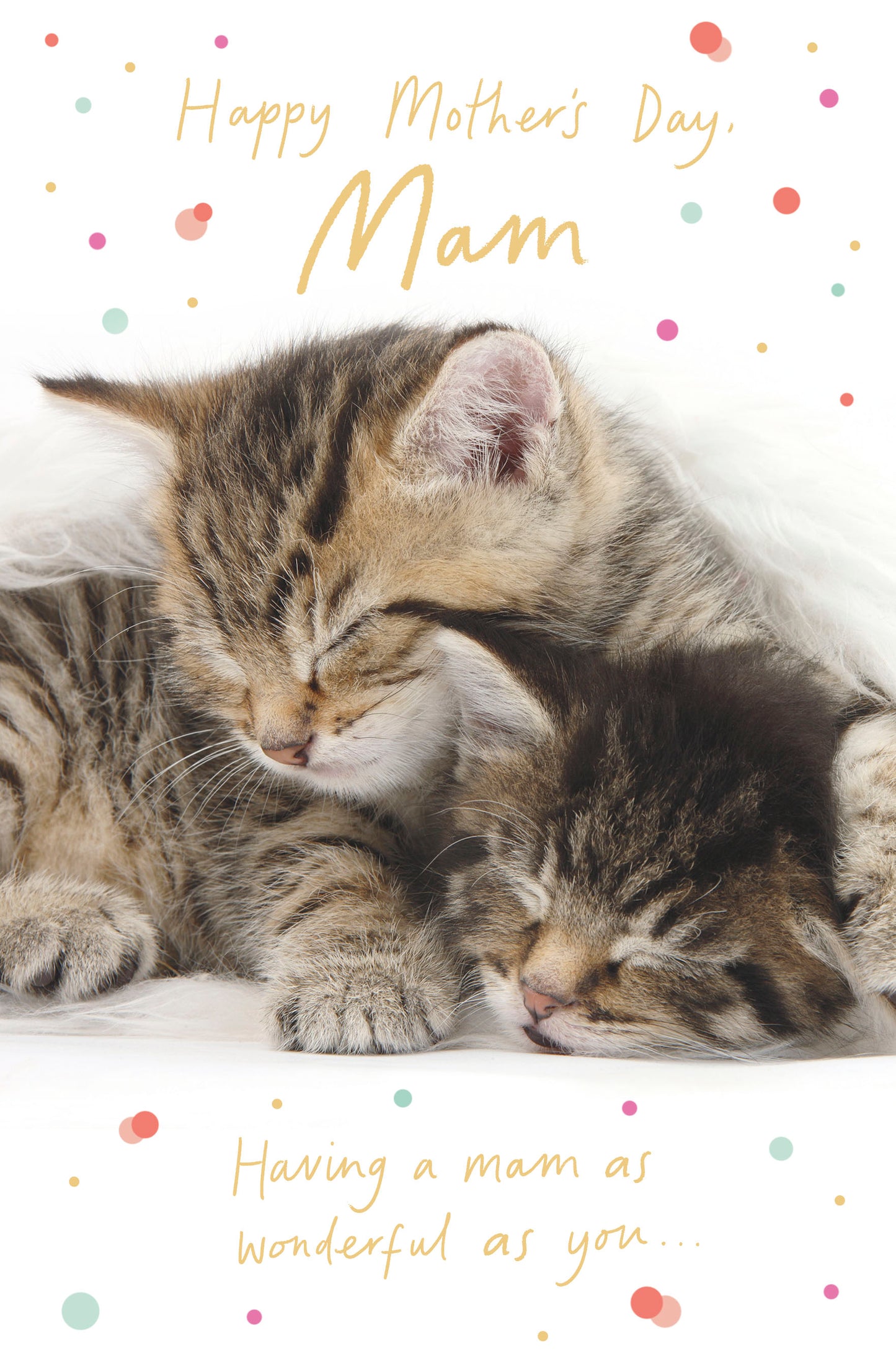 Standard Greeting Cards Mam Cute Talk to the Paw