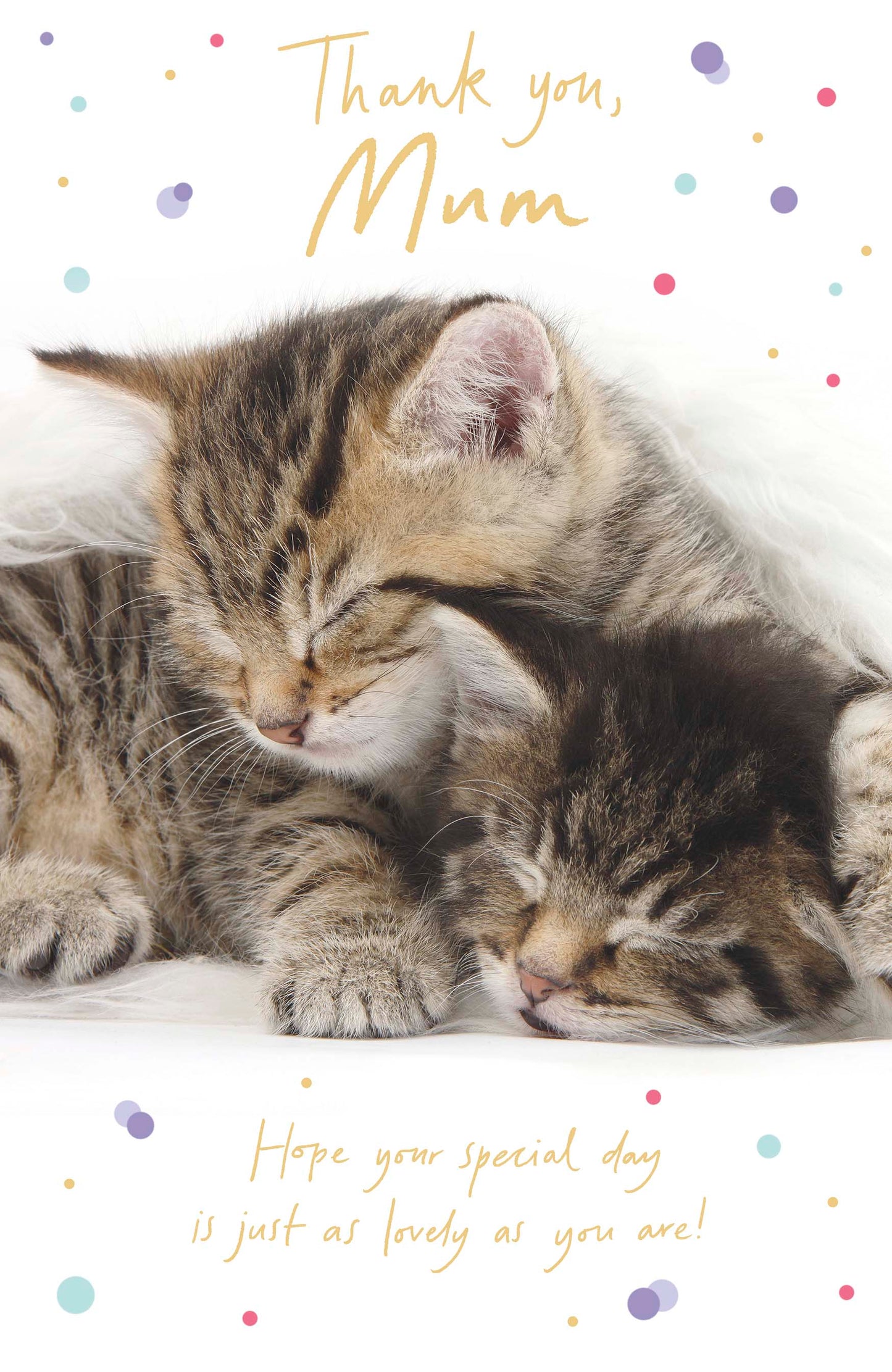 Standard Greeting Cards Mum Cute Talk to the Paw