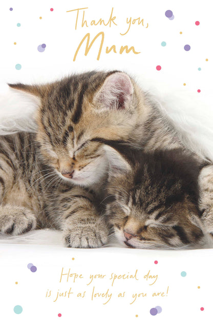 Standard Greeting Cards Mum Cute Talk to the Paw