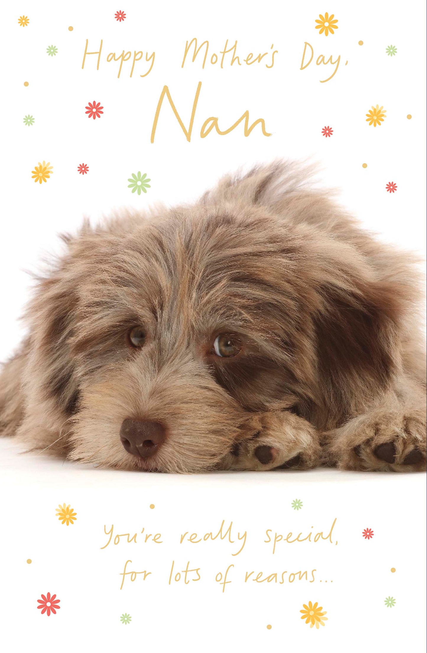 Standard Greeting Cards Nan Cute Talk to the Paw
