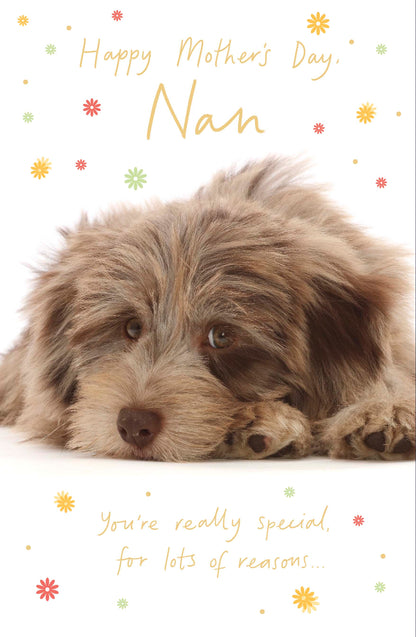 Standard Greeting Cards Nan Cute Talk to the Paw