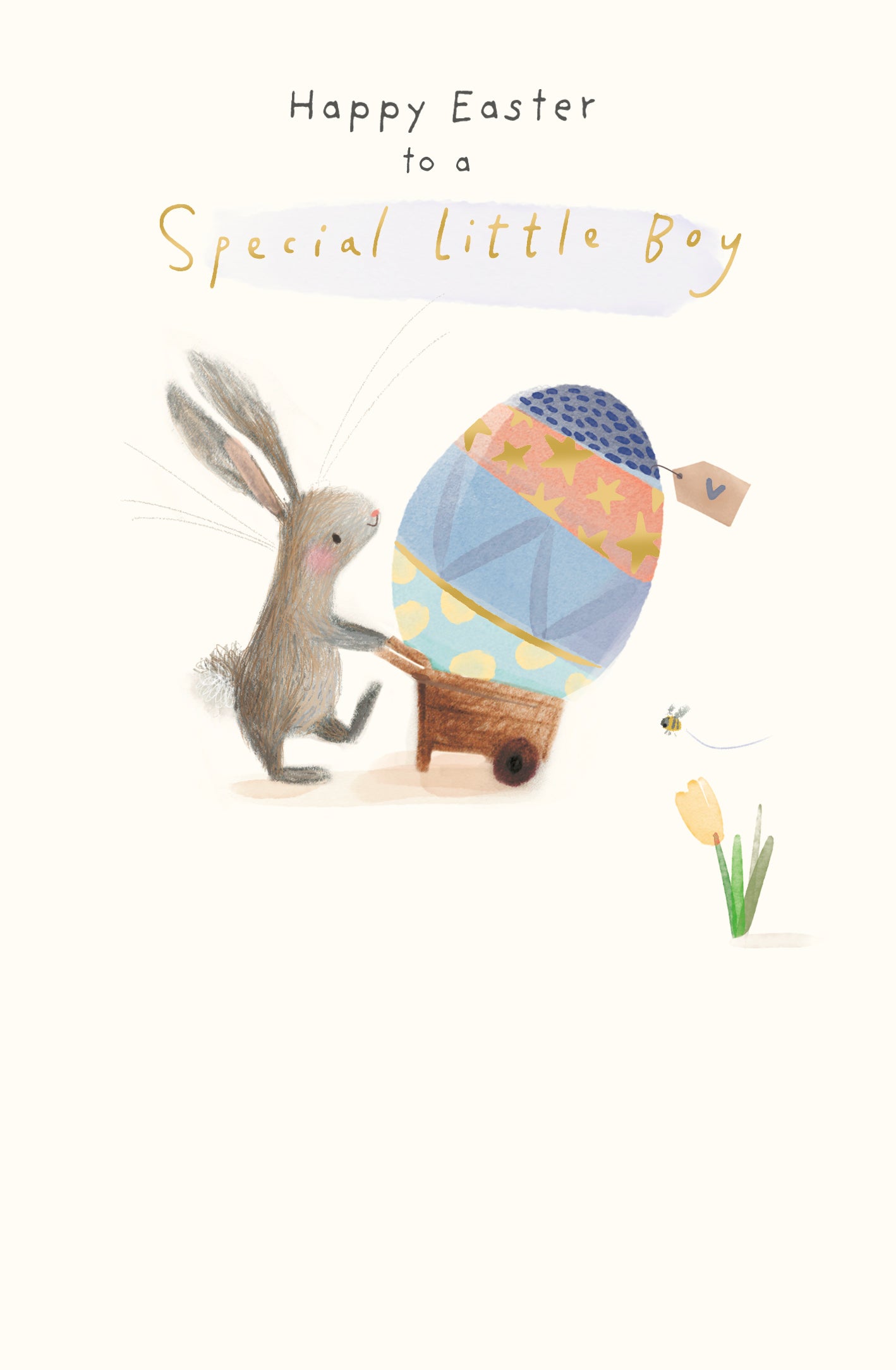 Standard Greeting Cards Special Boy Cute Carlton Core Line