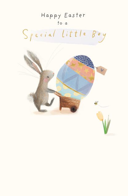 Standard Greeting Cards Special Boy Cute Carlton Core Line