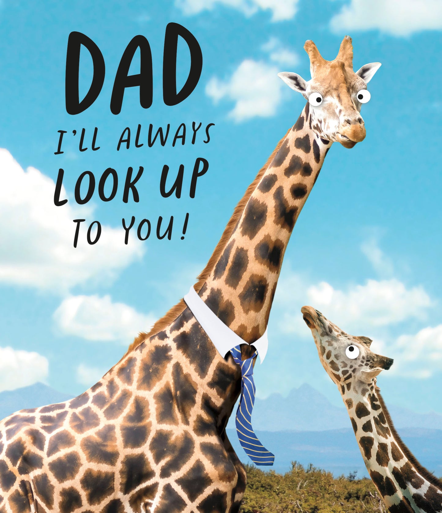 Dad Hum Greeting Cards Dad Hum Counter Cards