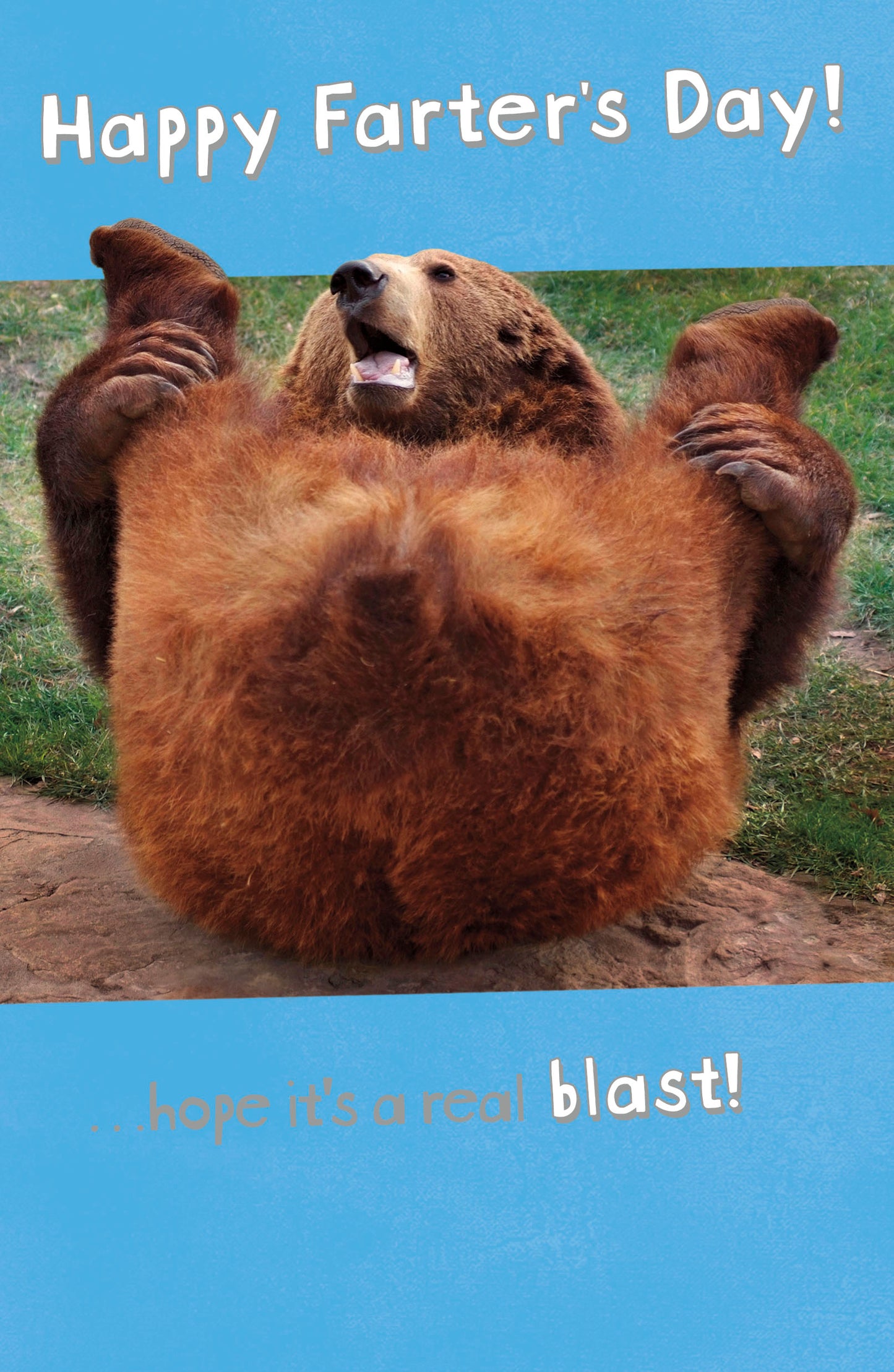 General Wish Hum Greeting Cards General Wish Hum Counter Cards
