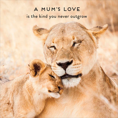 Standard Greeting Cards Mum  Camden Photographic