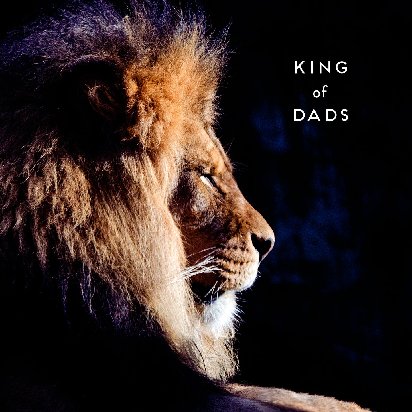 Dad Conv Greeting Cards Dad Conv Counter Cards