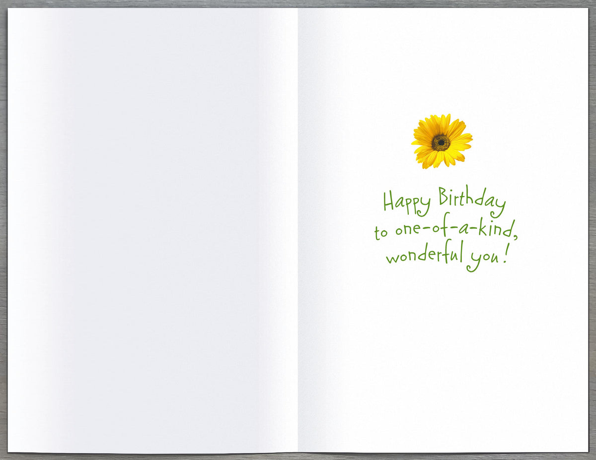 Standard Greeting Cards Birthday Cute Carlton Core Line