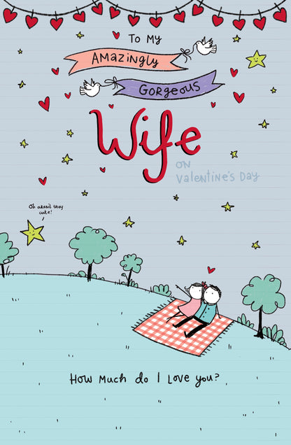 Hand Finished Greeting Cards Wife Cute Oodles of Doodles
