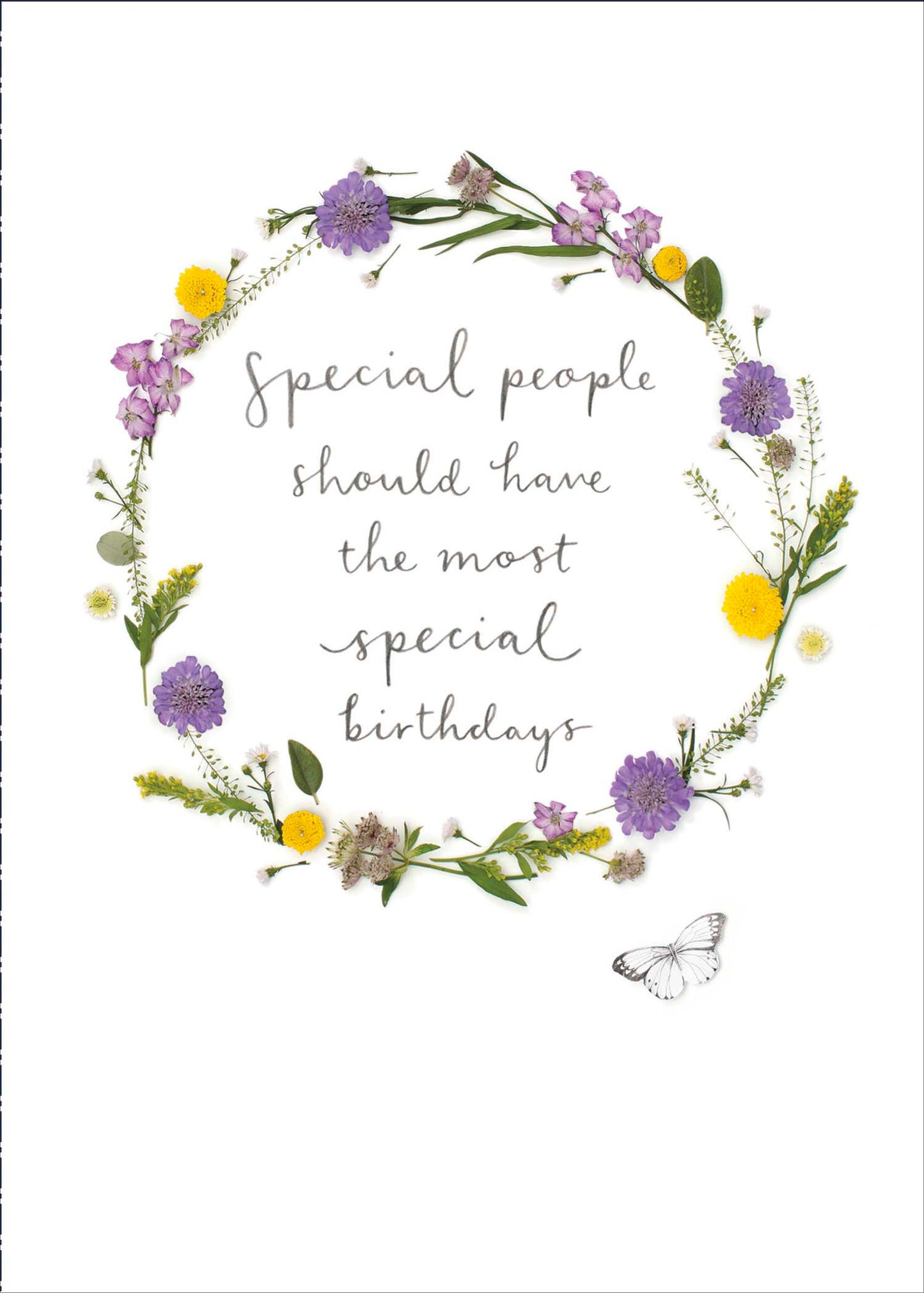 Standard Greeting Cards Birthday  Into the Meadow
