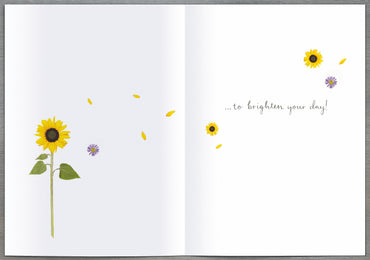 Standard Greeting Cards Open  Into the Meadow