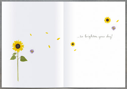 Standard Greeting Cards Open  Into the Meadow