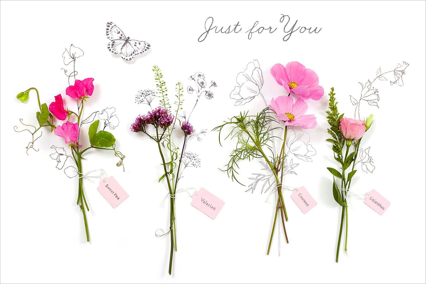 Standard Greeting Cards Birthday  Into the Meadow
