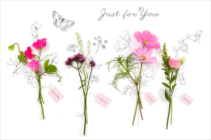 Standard Greeting Cards Birthday  Into the Meadow