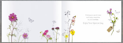 Standard Greeting Cards Birthday  Into the Meadow