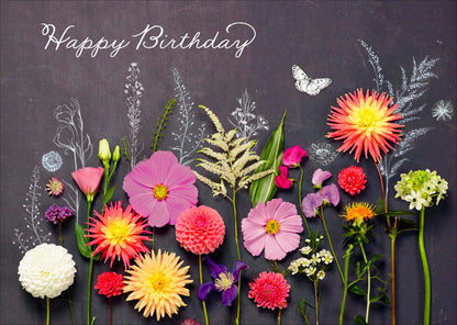 Standard Greeting Cards Birthday  Into the Meadow