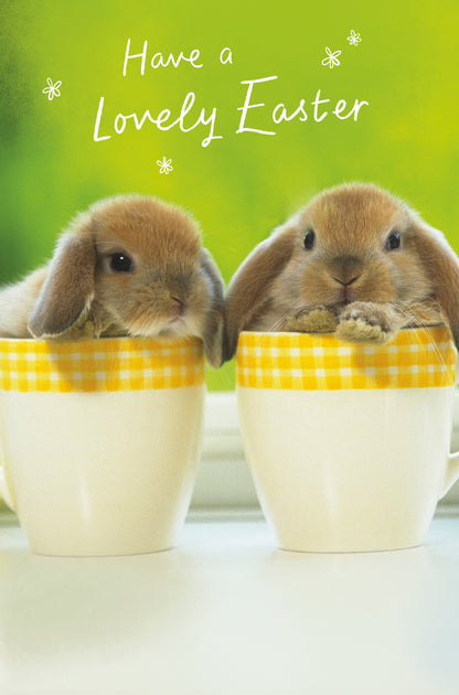 Standard Greeting Cards Easter General  Gibson Core Line
