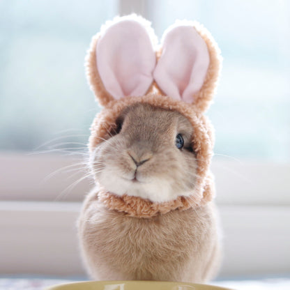 Standard Greeting Cards Easter General  Camden Photographic