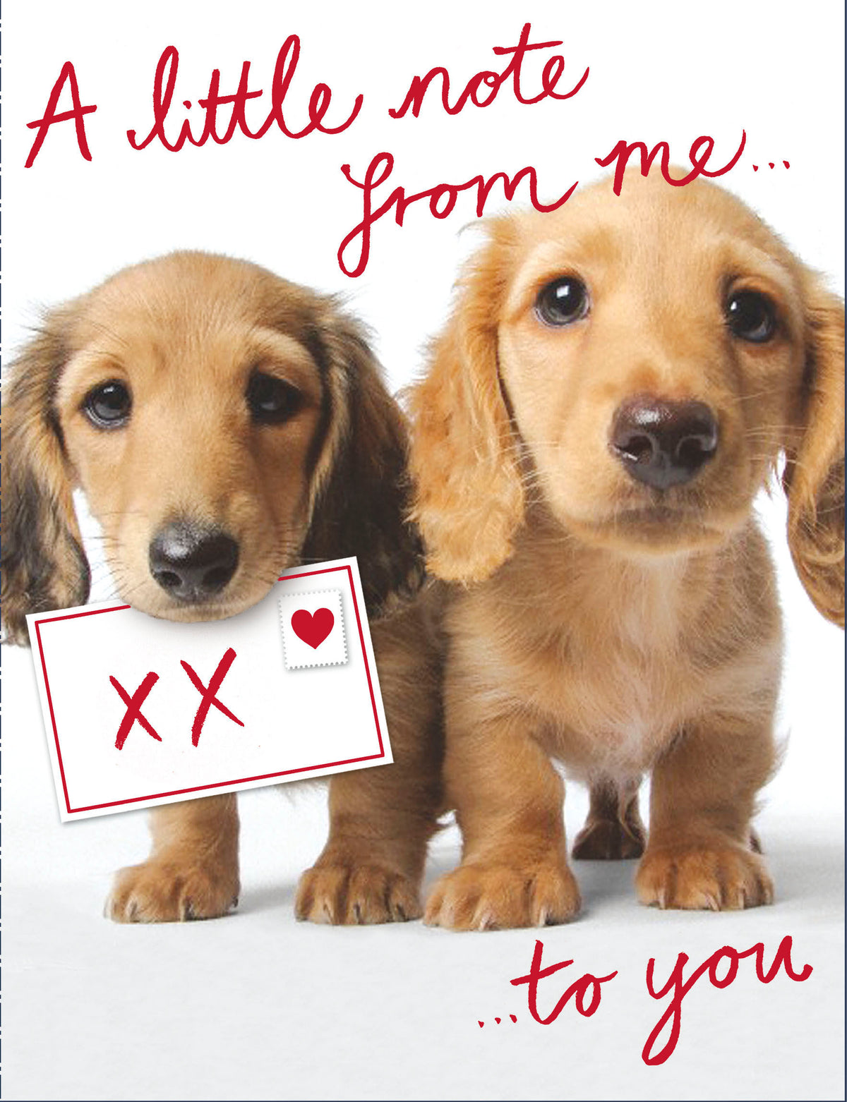 Standard Greeting Cards General Wish Cute Watermark Core Line