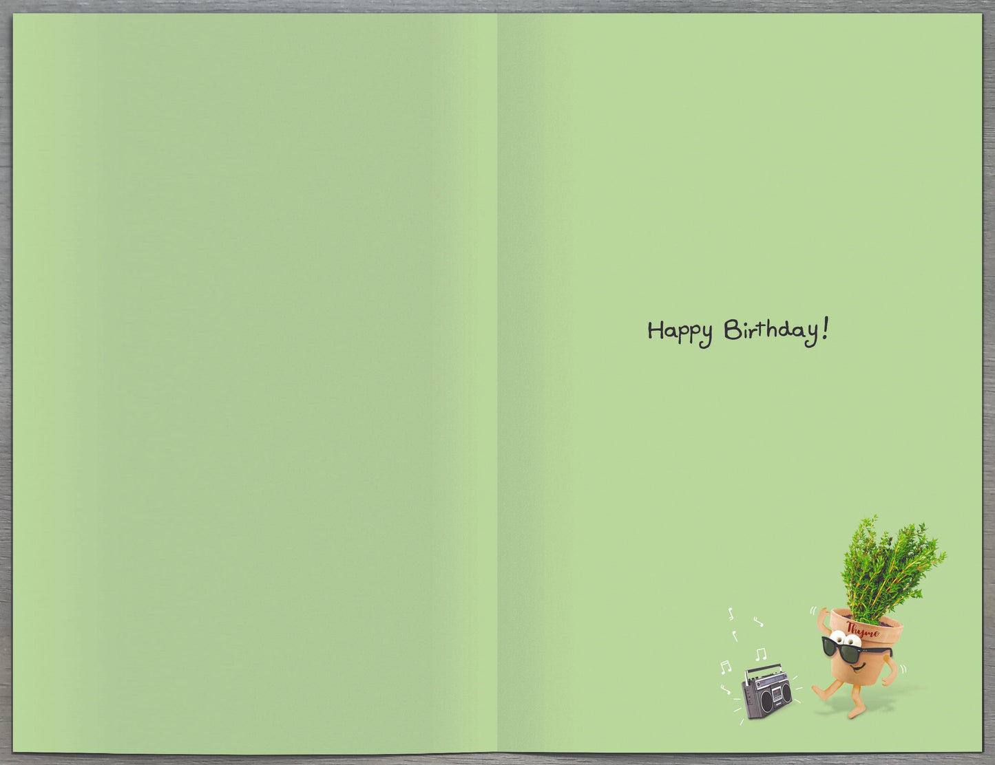 Standard Greeting Cards Birthday Hum Out of the Ark