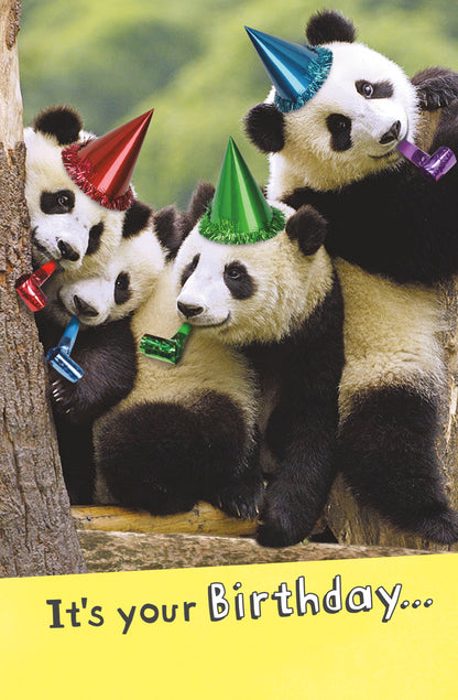 Standard Greeting Cards Birthday Hum Say Cheese!