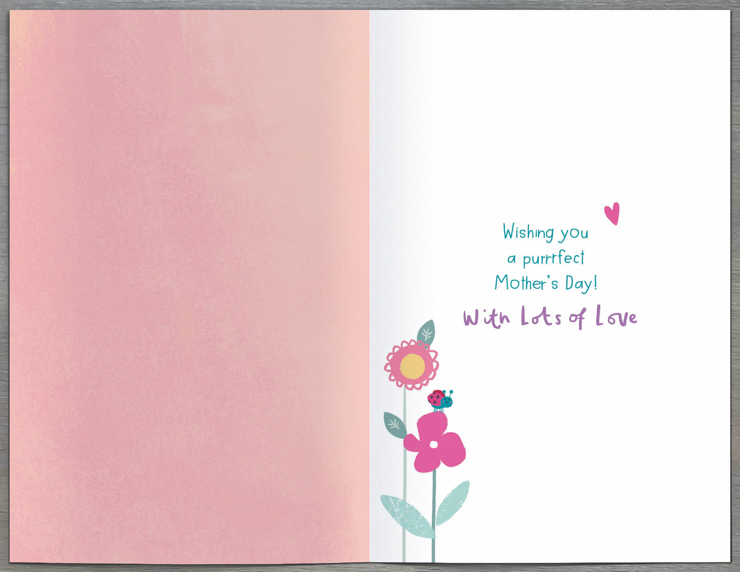 Standard Greeting Cards Nan Cute Giddy Critters