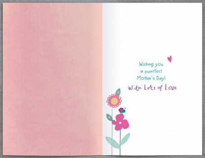 Standard Greeting Cards Nan Cute Giddy Critters