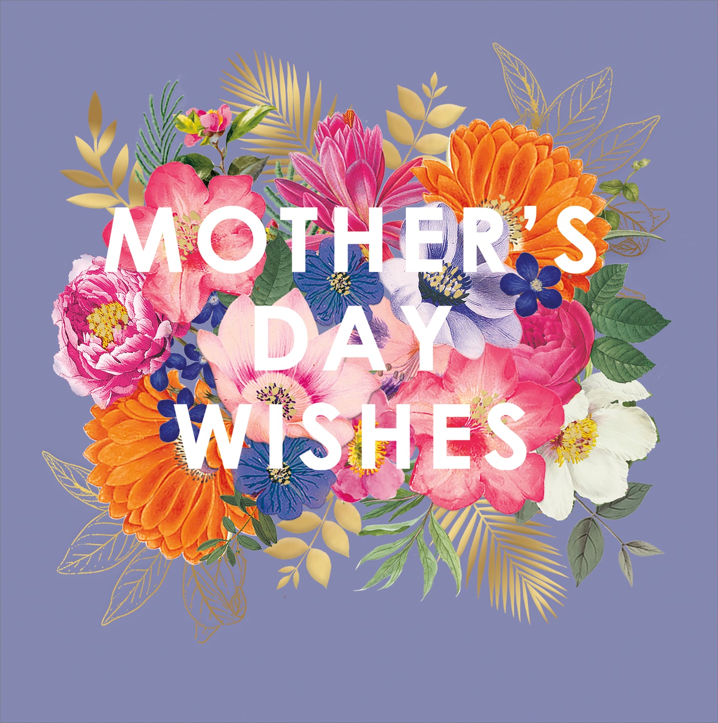 Hand Finished Greeting Cards General Wish  Royal Horticultural Society