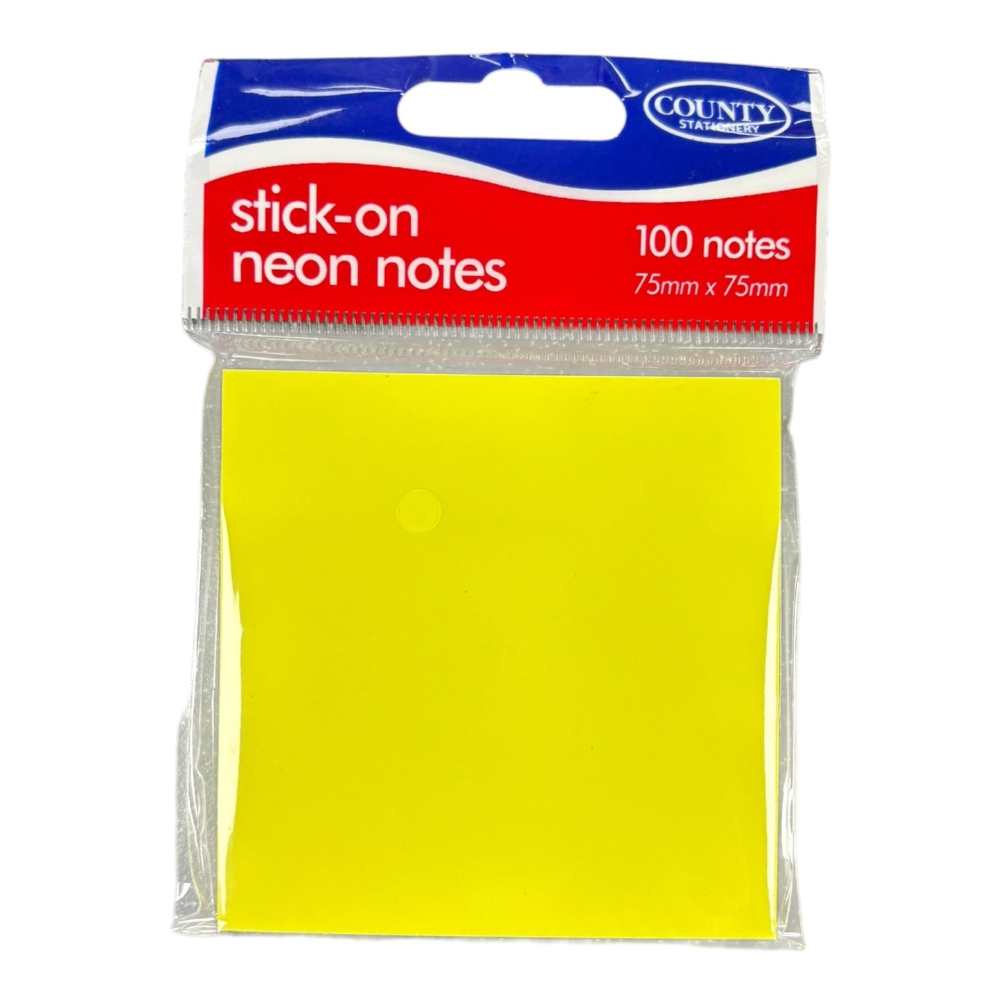 Neon Notes Small
