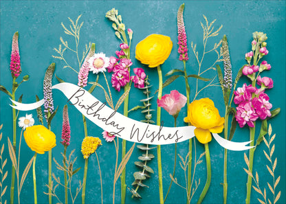 Standard Greeting Cards Birthday  Into the Meadow