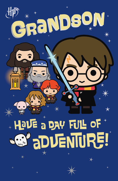 Standard Greeting Cards Birthday Grandson Cute WB Harry Potter