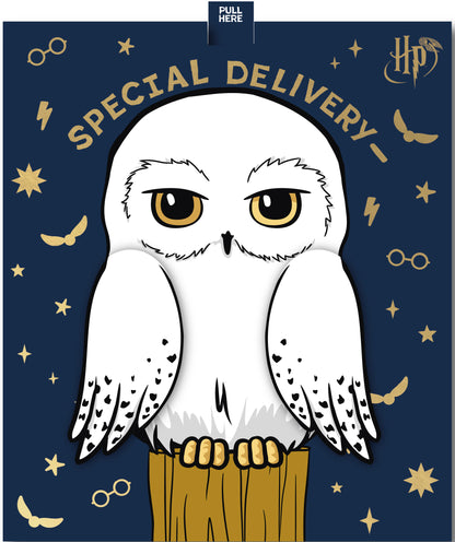 Hand Finished Greeting Cards Juvenileenile General WB Harry Potter