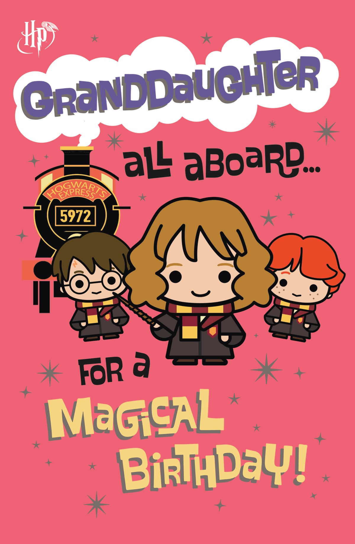 Standard Greeting Cards Birthday Granddaughter Cute WB Harry Potter