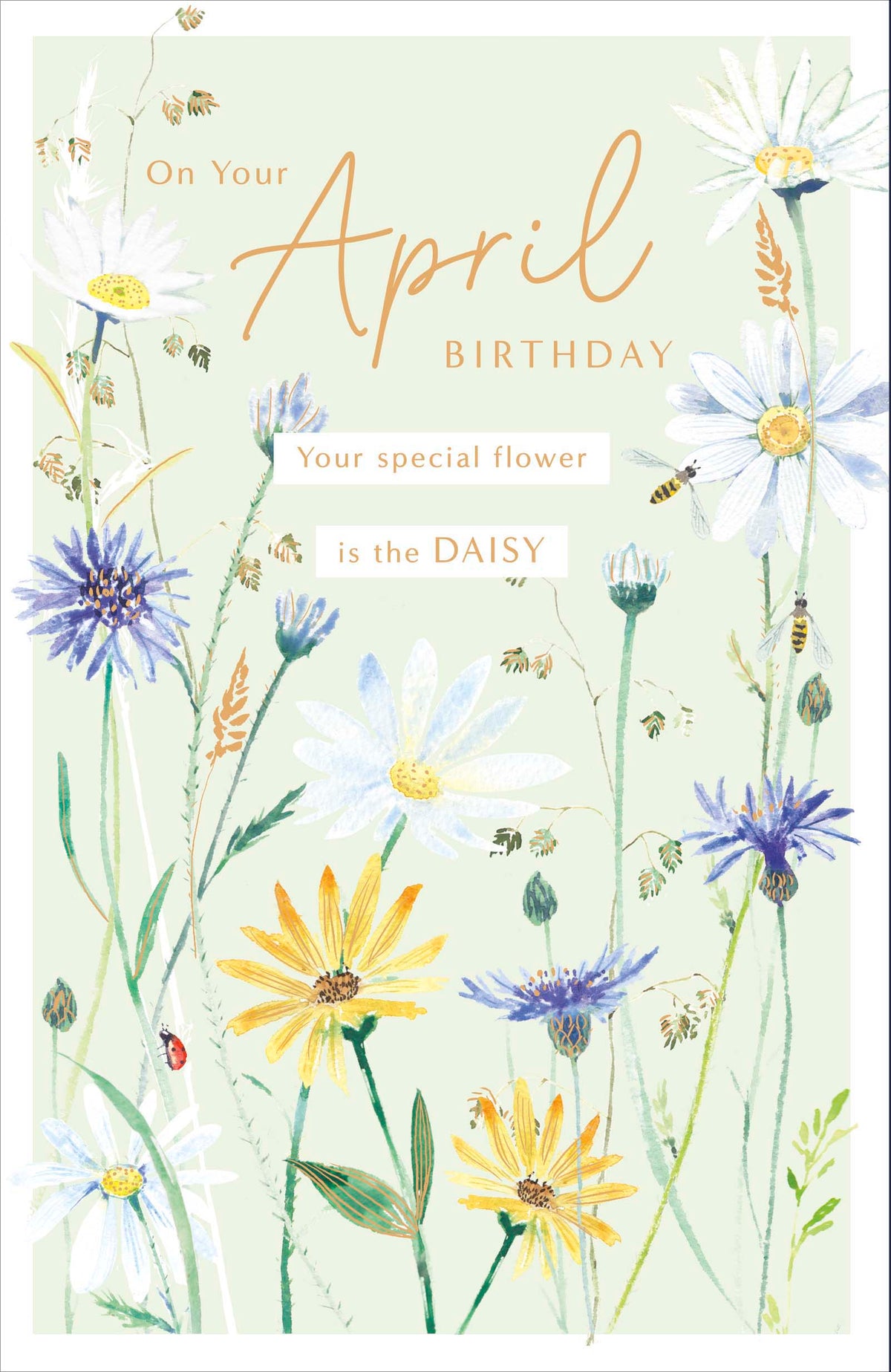 Standard Greeting Cards Birthday April  Gibson Core Line