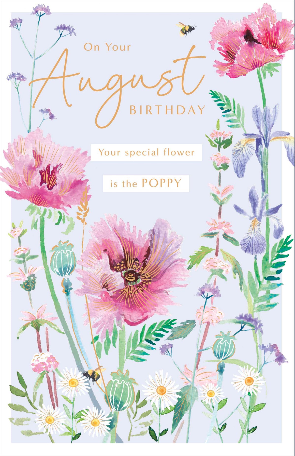 Standard Greeting Cards Birthday August  Gibson Core Line
