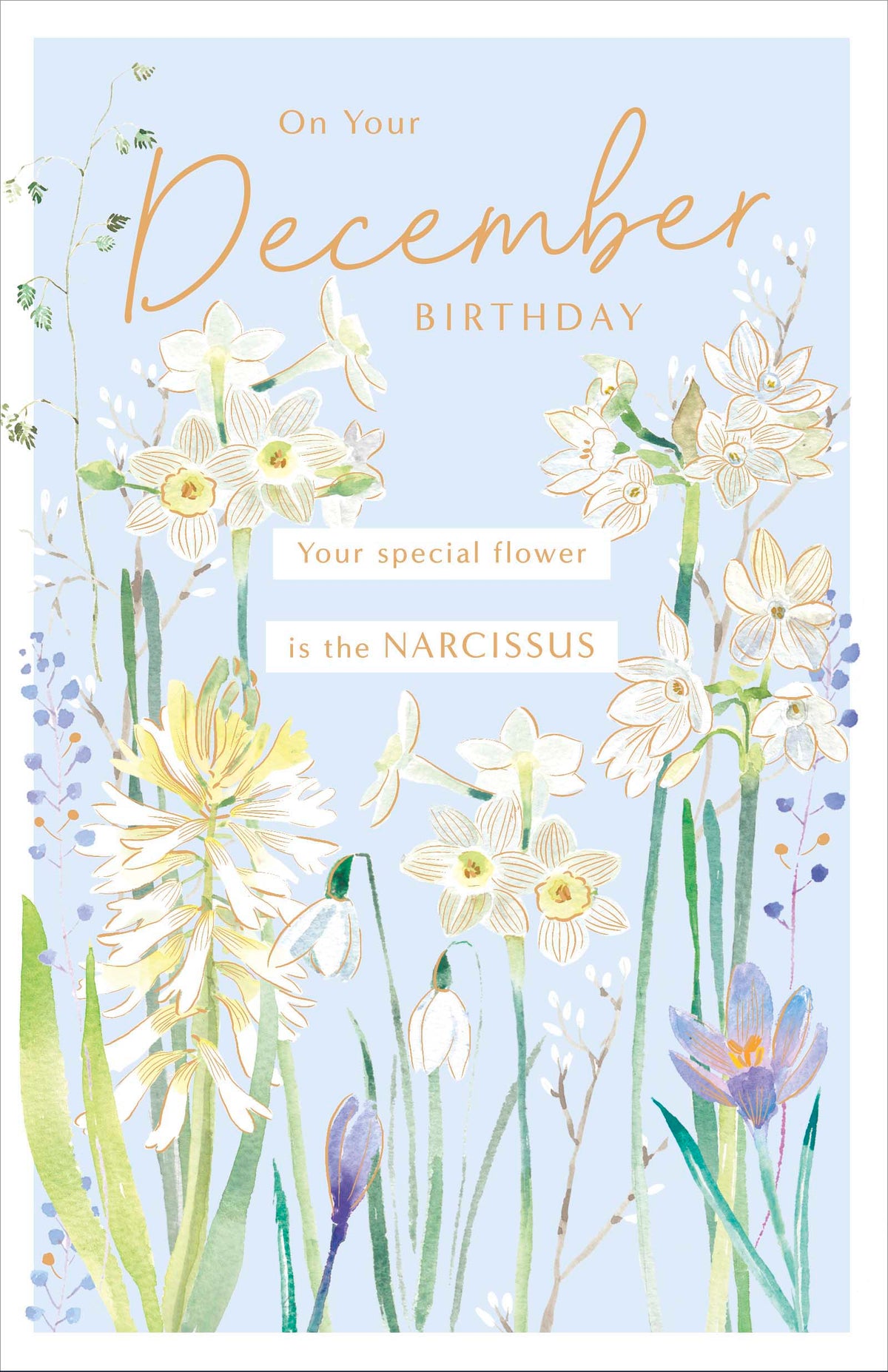 Standard Greeting Cards Birthday December  Gibson Core Line
