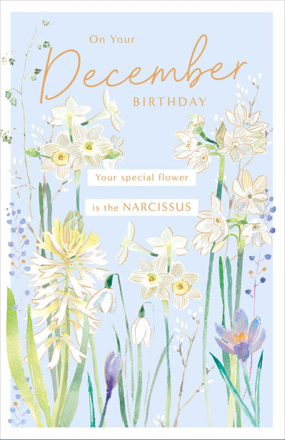 Standard Greeting Cards Birthday December  Gibson Core Line