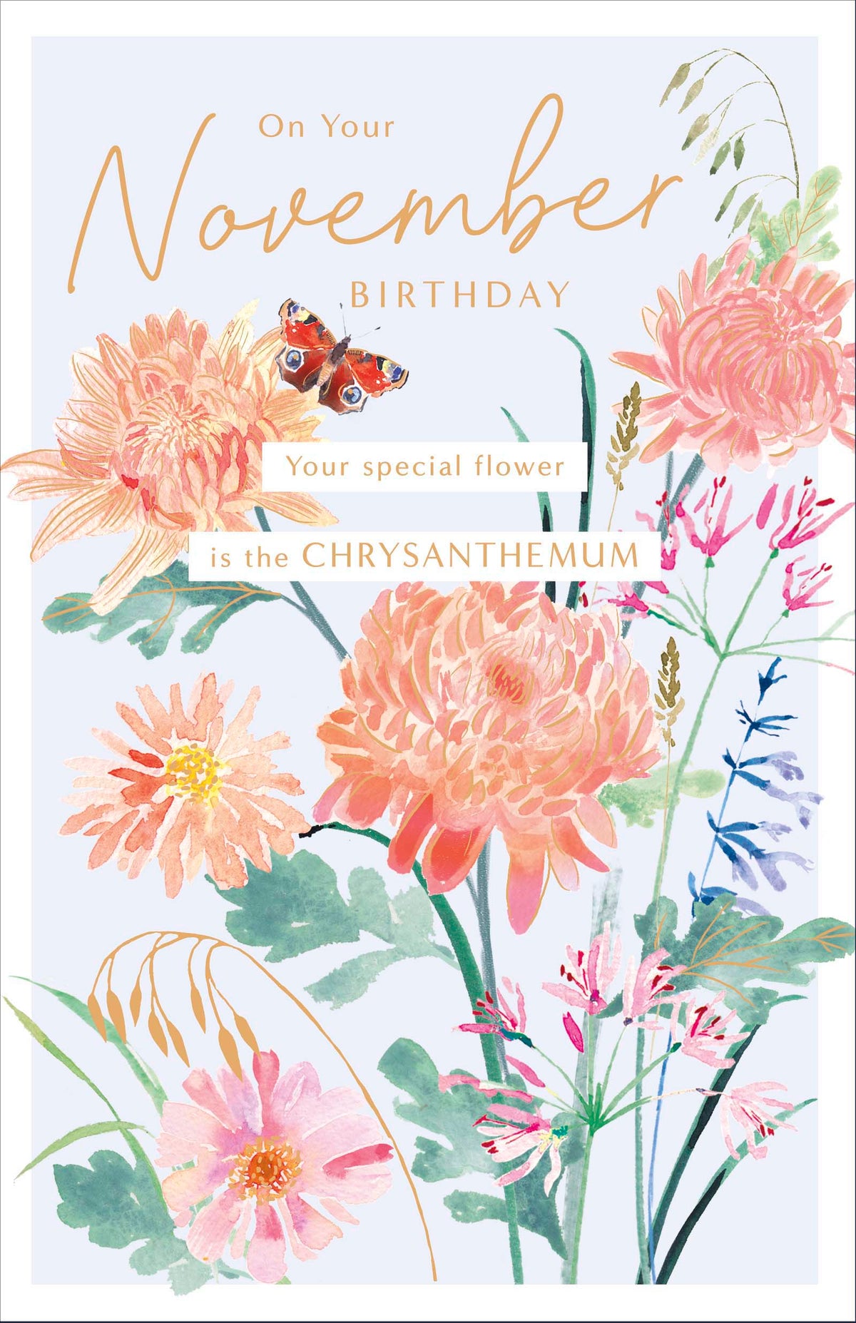 Standard Greeting Cards Birthday November  Gibson Core Line