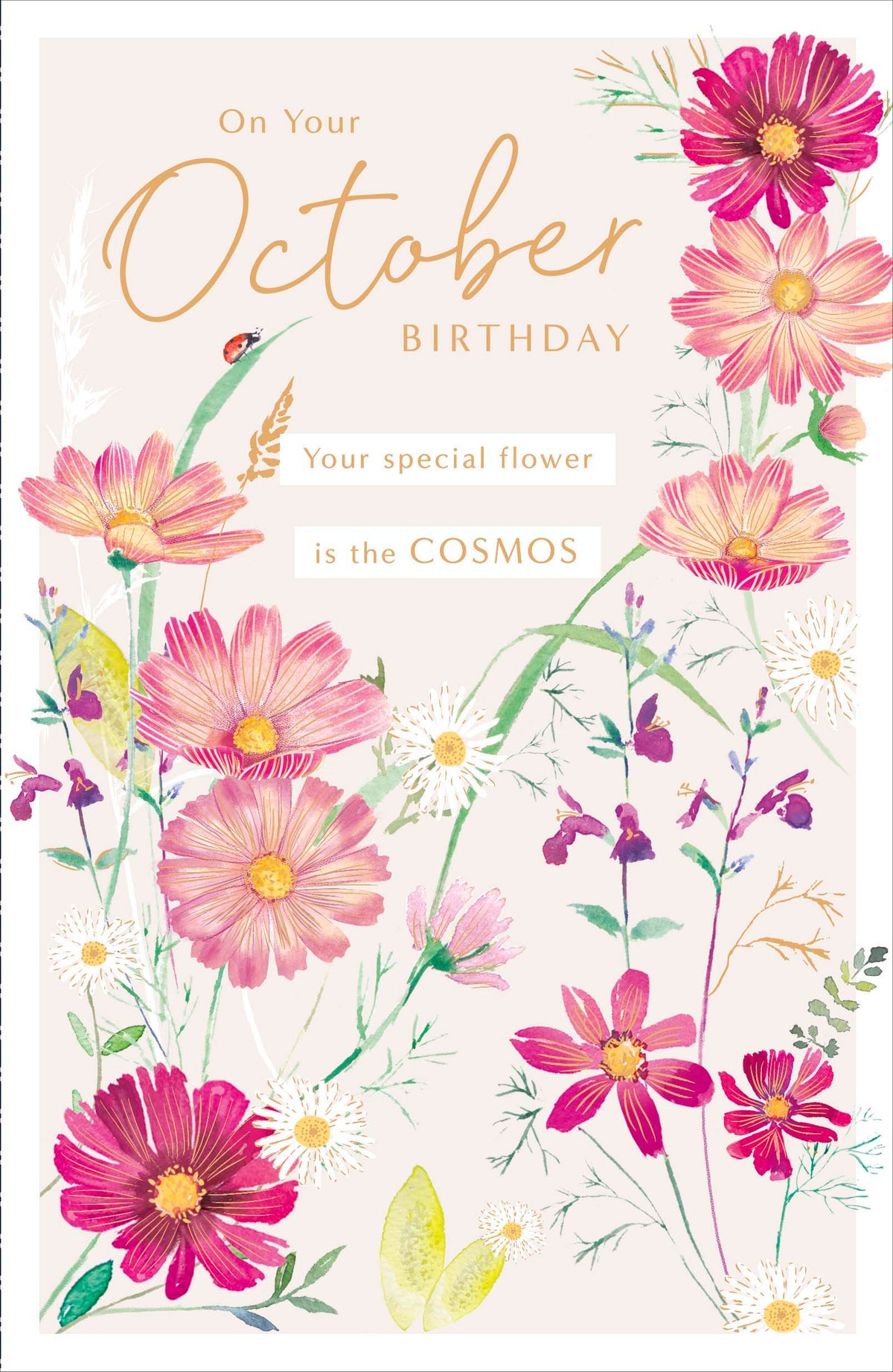 Standard Greeting Cards Birthday October  Gibson Core Line