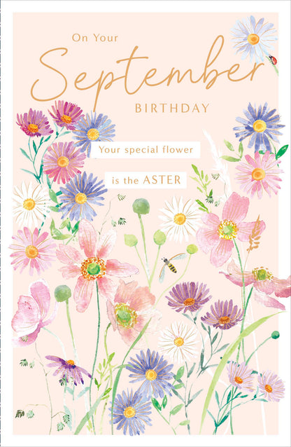 Standard Greeting Cards Birthday September  Gibson Core Line