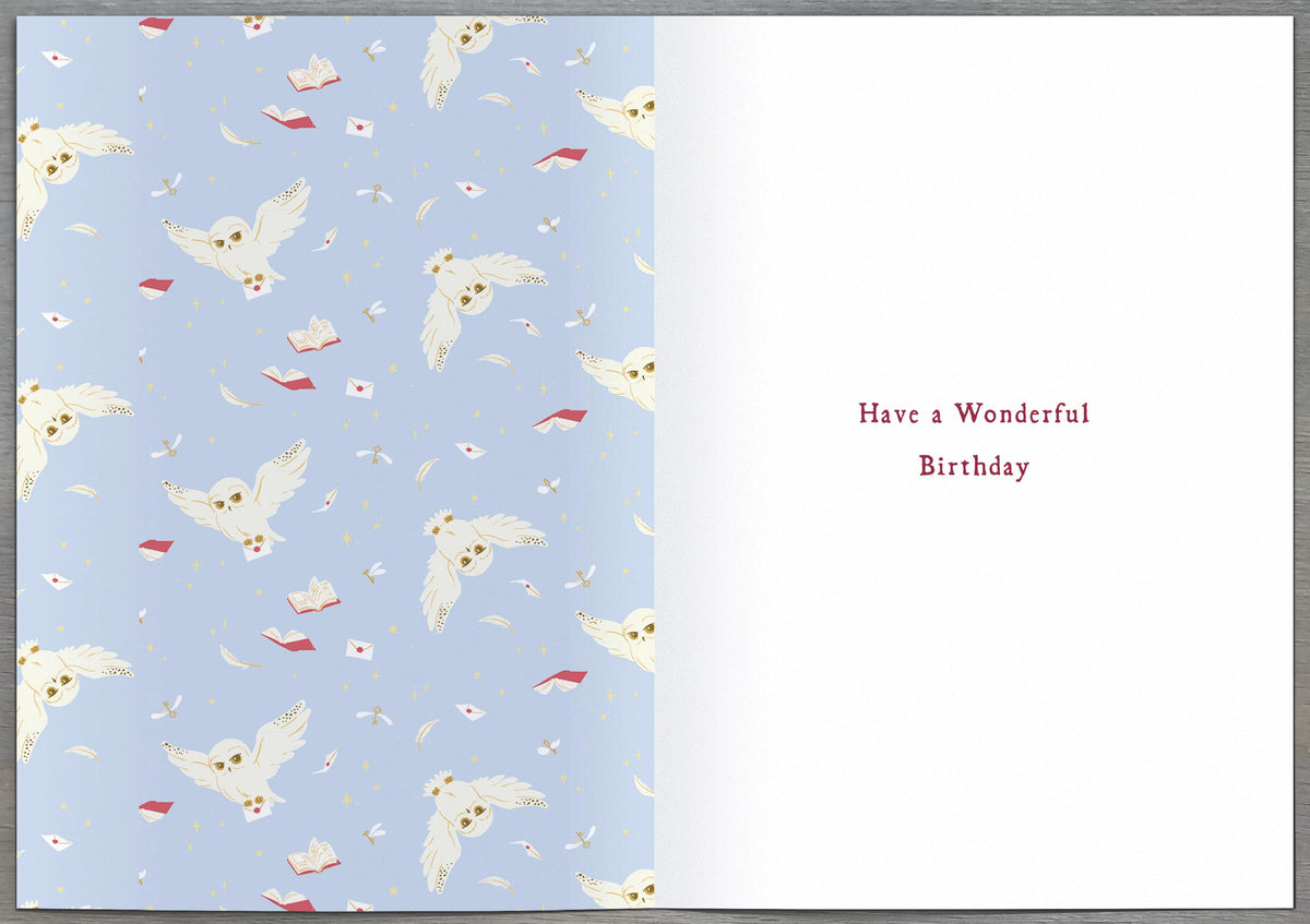 Standard Greeting Cards Birthday Daughter  WB Harry Potter