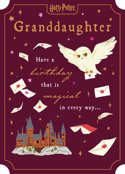 Standard Greeting Cards Birthday Granddaughter  WB Harry Potter