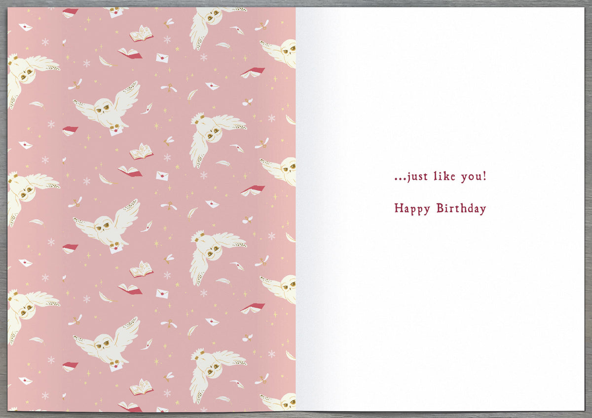 Standard Greeting Cards Birthday Granddaughter  WB Harry Potter