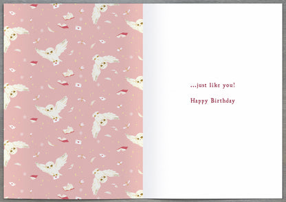 Standard Greeting Cards Birthday Granddaughter  WB Harry Potter