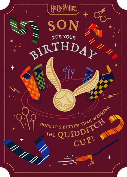 Standard Greeting Cards Birthday Son  WB Harry Potter