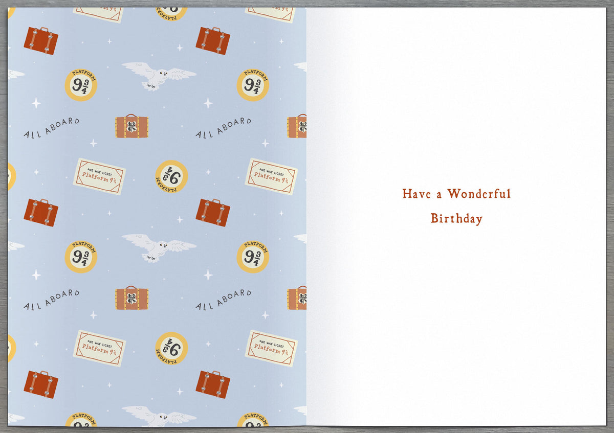 Standard Greeting Cards Birthday Grandson  WB Harry Potter
