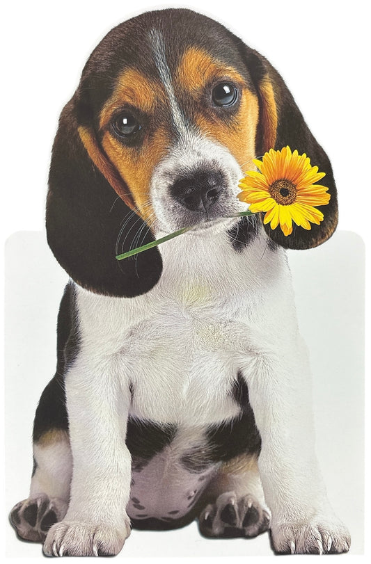 5034934535579-UKG Birthday Cute