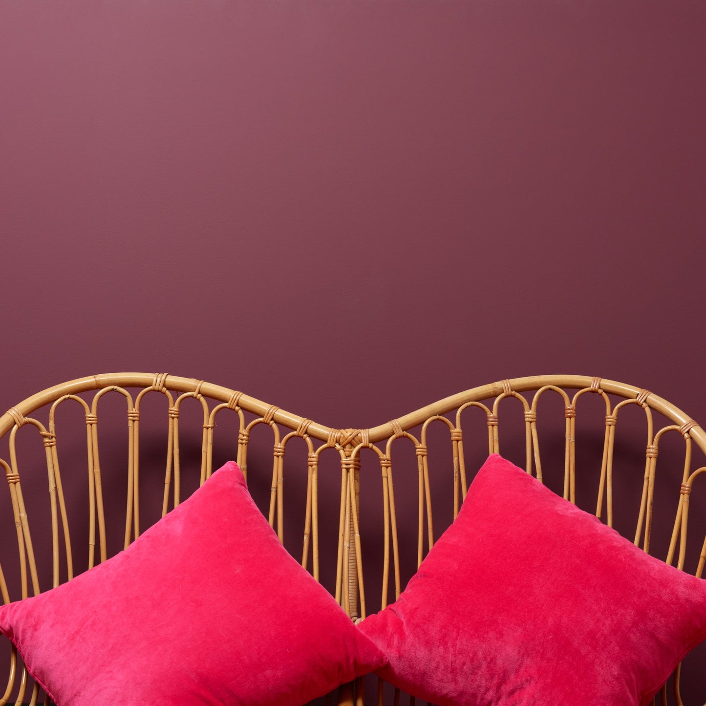 Boho Berry - Peel & Stick Paint Sample