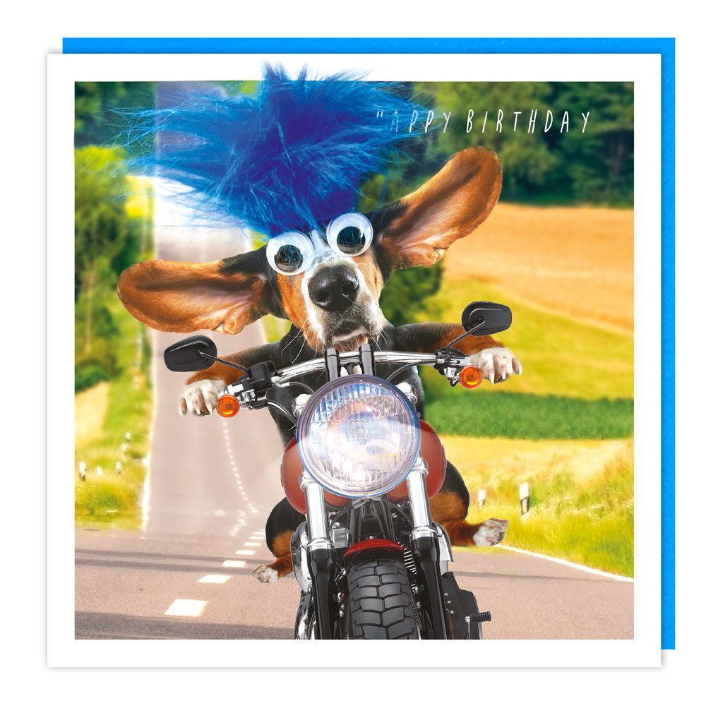 LL100 - - *C Fluff - Easy Rider