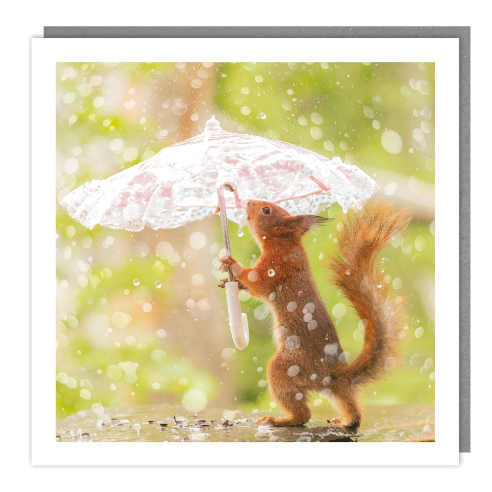 JJ75 - - Light Hearted Collection -Squirrel in the Rain